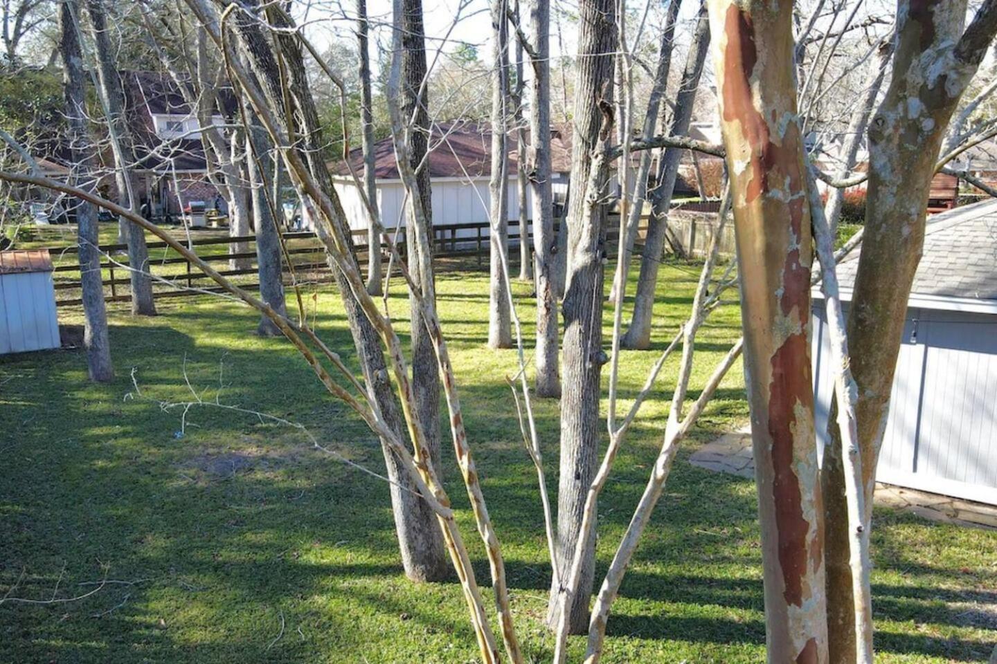 Sunmeadow Manor Retreat Villa Friendswood Kültér fotó